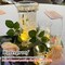 100PCs Mini Led Lights,Led Balloons Light for Party Decorations Neon Party Lights for Paper Lantern Easter Eggs Birthday Party Halloween Christmas Decoration(Glow steadily Warm White)